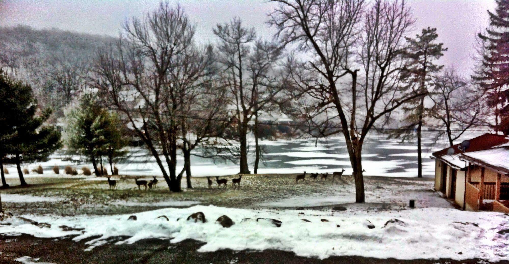 Lake Harmony Inn Luaran gambar